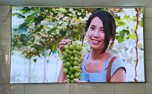 長(zhǎng)沙LED顯示屏公司,長(zhǎng)沙LED顯示屏廠家,長(zhǎng)沙小間距LED顯示屏,長(zhǎng)沙電子顯示屏,長(zhǎng)沙LED異形屏,長(zhǎng)沙LED透明屏,長(zhǎng)沙LED顯示屏,長(zhǎng)沙LED大屏,湖南LED顯示屏公司,湖南電子顯示屏,湖南全彩顯示屏,湖南LED顯示屏,湖南LED大屏